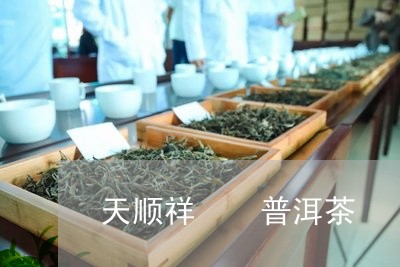 天顺祥  普洱茶/2023041084817